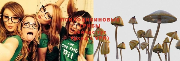 бутират Лагань