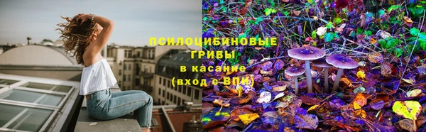 ALPHA PVP Мегион